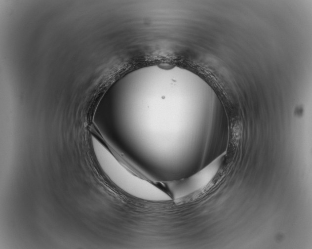 X0000097970617200804071100