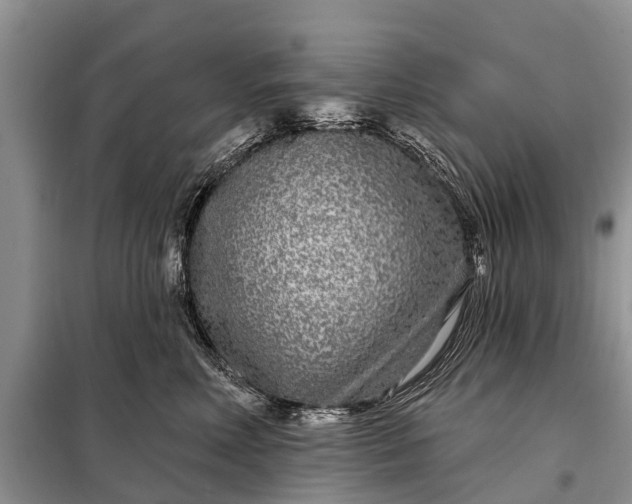 X0000097970618200804071100