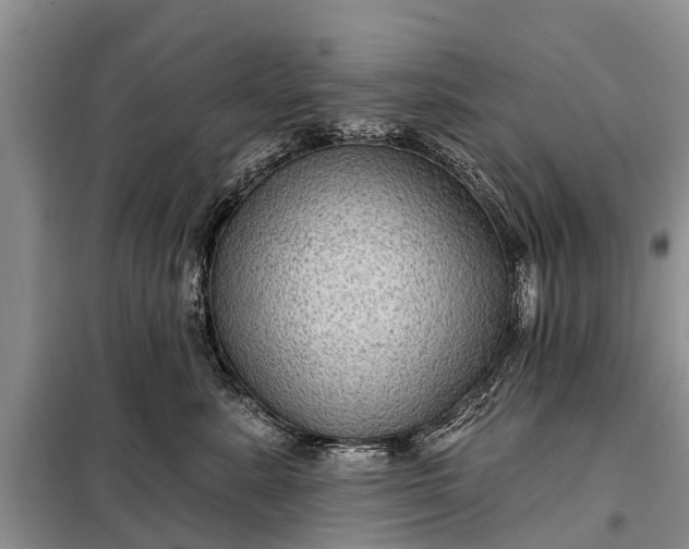 X0000097970619200804071100