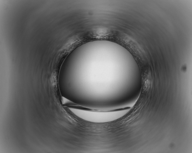 X0000097970620200804071100