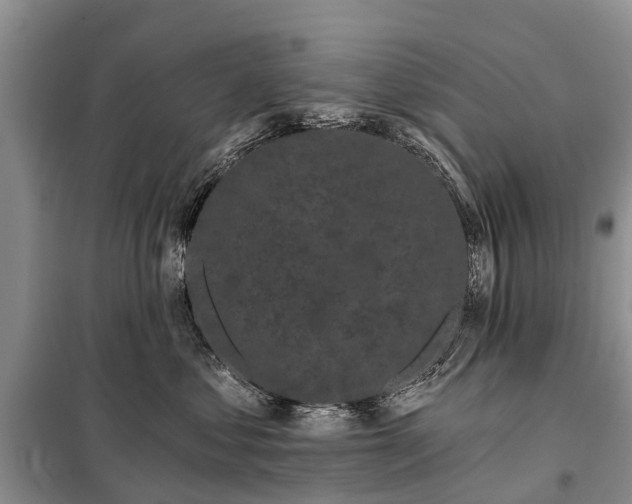 X0000097970621200804071100