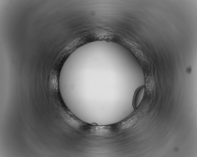 X0000097970622200804071100