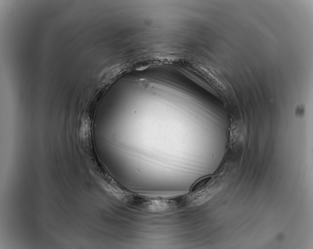 X0000097970623200804071100