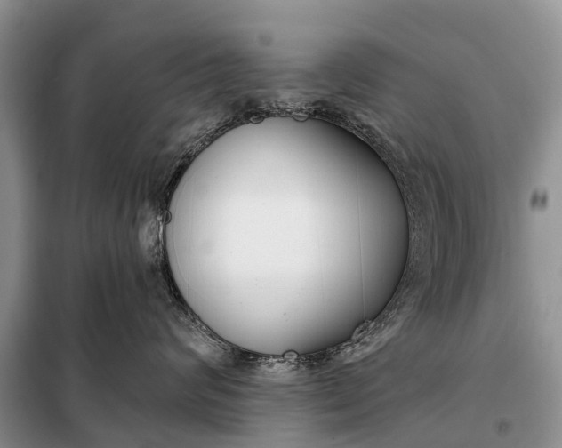 X0000097970624200804071100