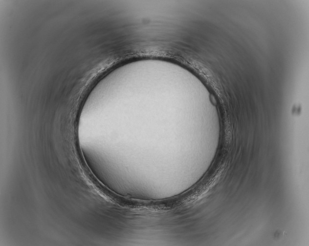 X0000097970625200804071059