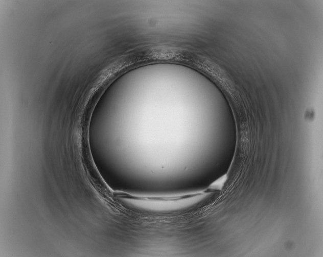 X0000097970626200804071059