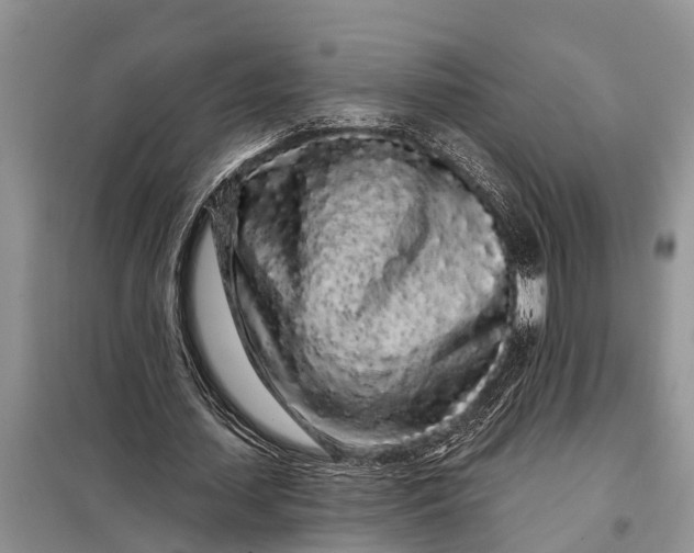 X0000097970627200804071059