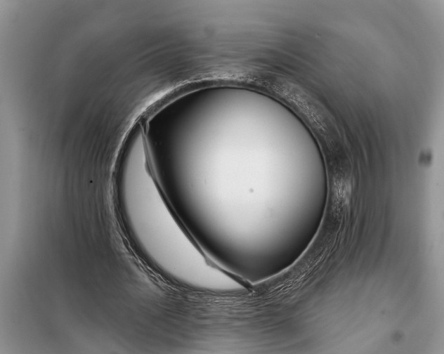 X0000097970628200804071059