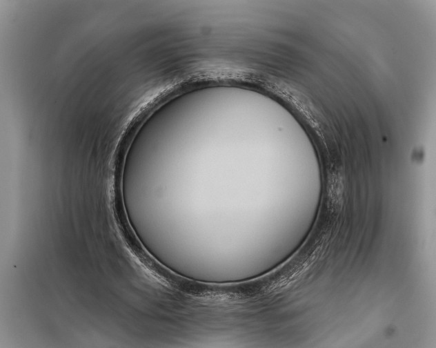 X0000097970629200804071059