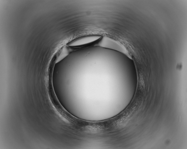 X0000097970630200804071059