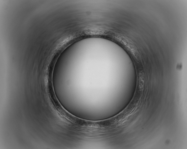 X0000097970631200804071059