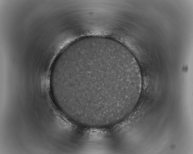 X0000097970632200804071059