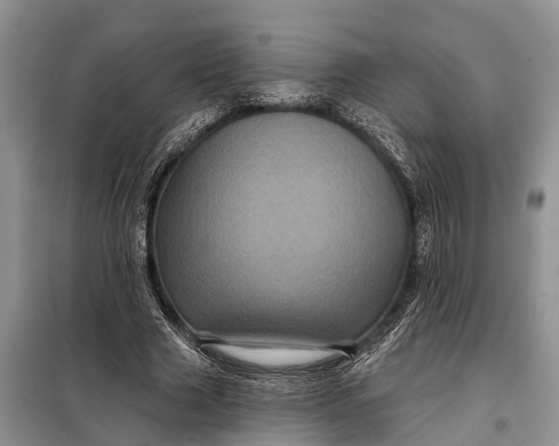 X0000097970633200804071059