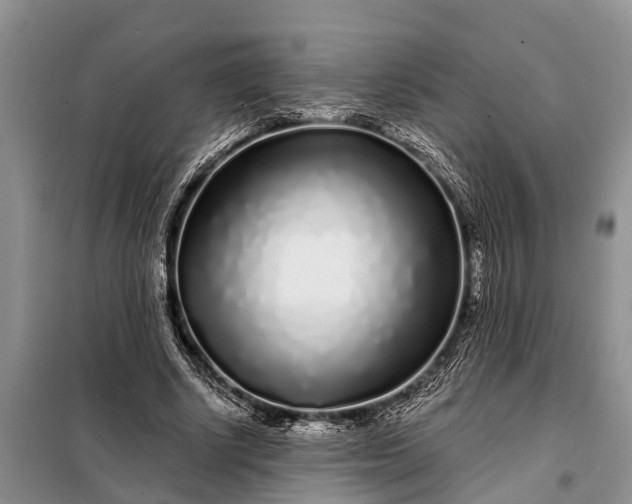 X0000097970634200804071059