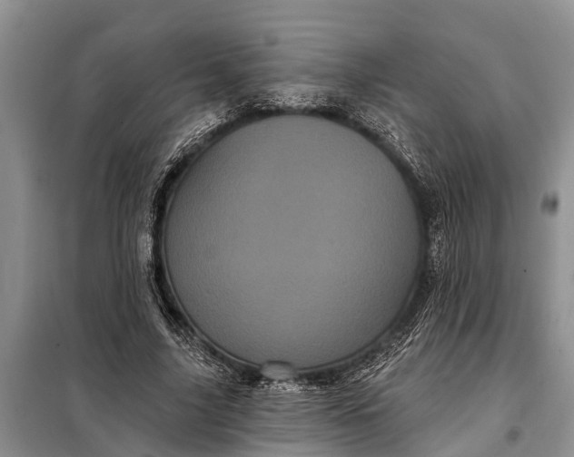 X0000097970635200804071059