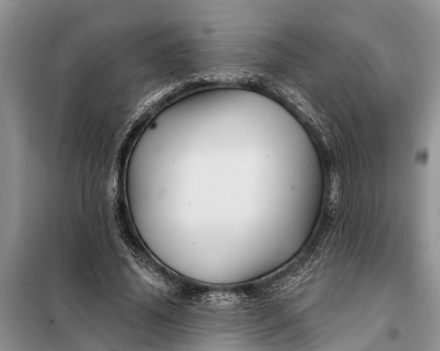 X0000097970636200804071059