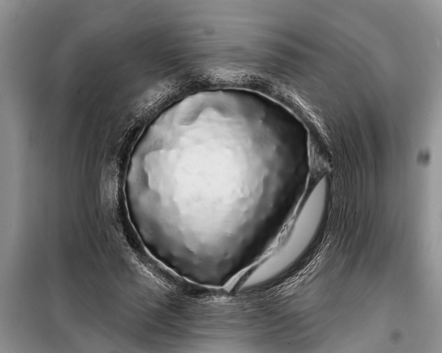 X0000097970637200804071059