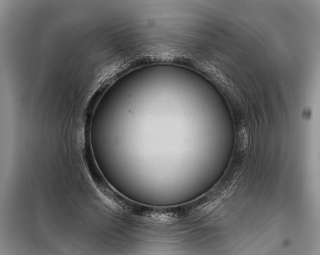 X0000097970638200804071059