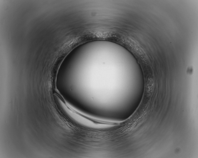 X0000097970639200804071059