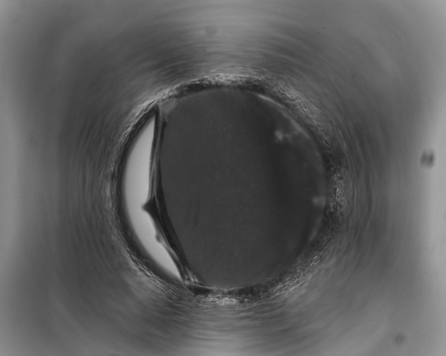 X0000097970640200804071059