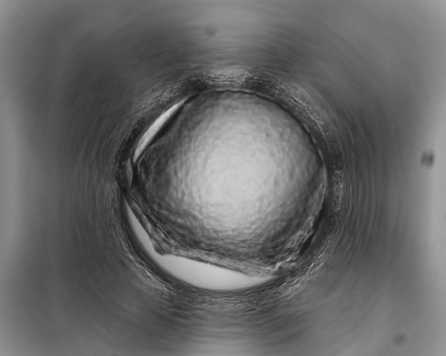 X0000097970641200804071059