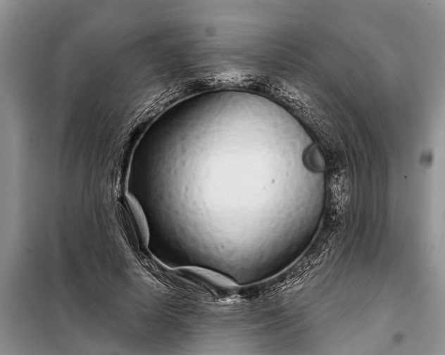 X0000097970642200804071059