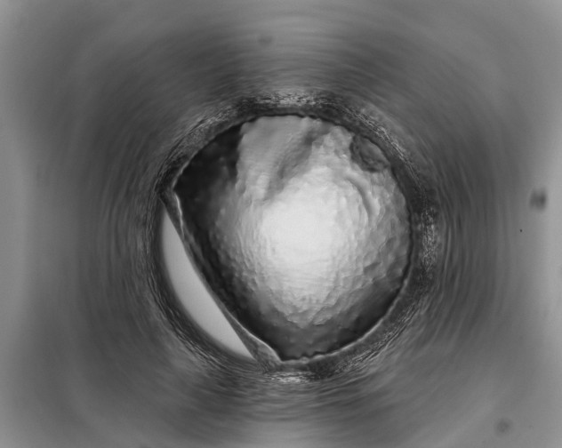 X0000097970643200804071059