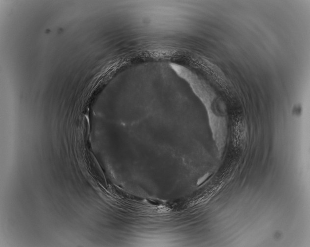 X0000097970644200804071059