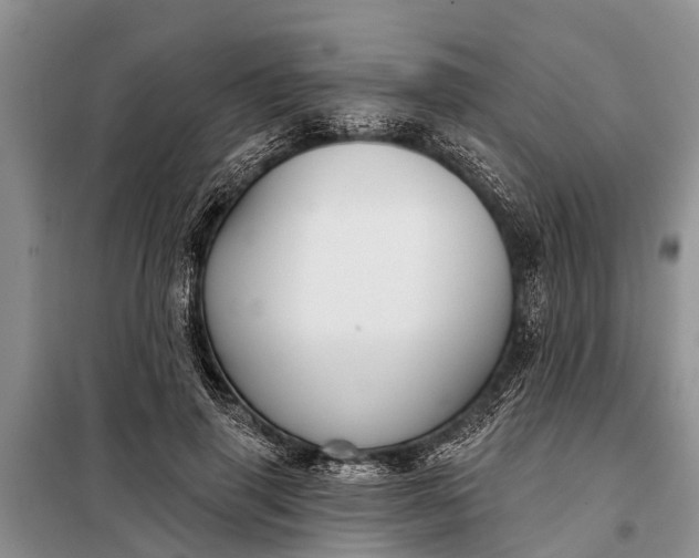 X0000097970645200804071059