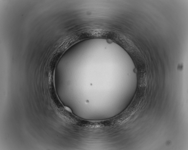 X0000097970646200804071100