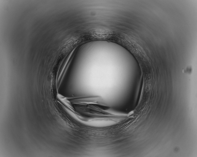 X0000097970647200804071100