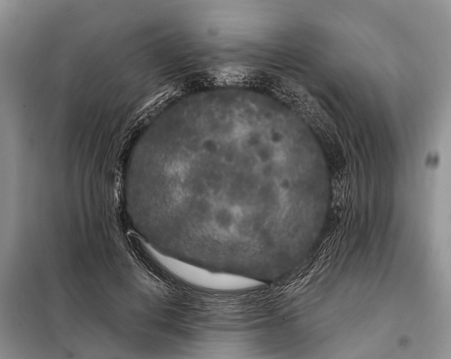 X0000097970648200804071100