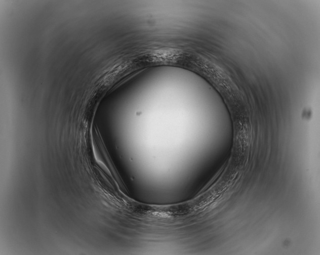 X0000097970649200804071100