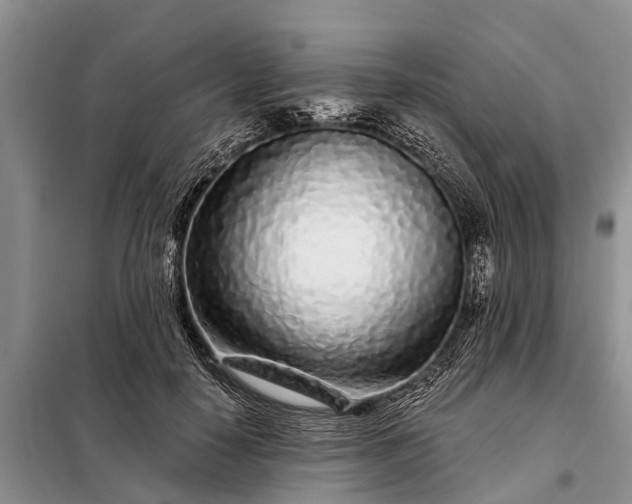 X0000097970650200804071100