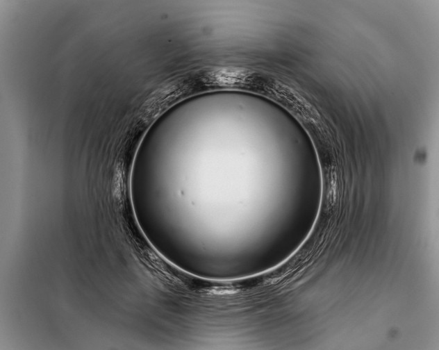 X0000097970651200804071100