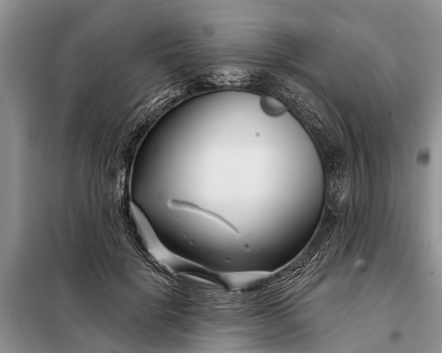 X0000097970652200804071100