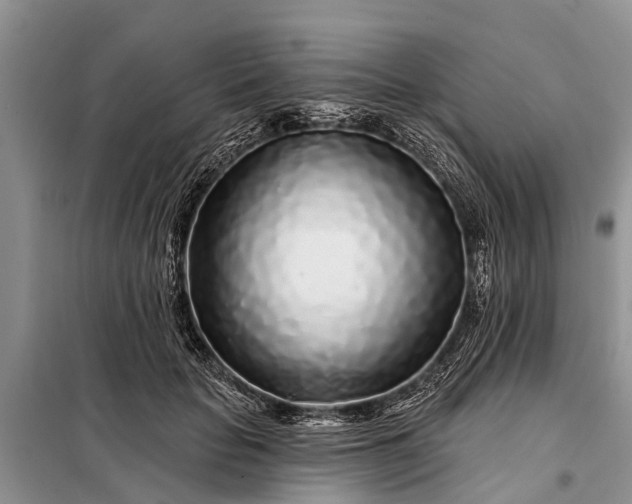 X0000097970653200804071100