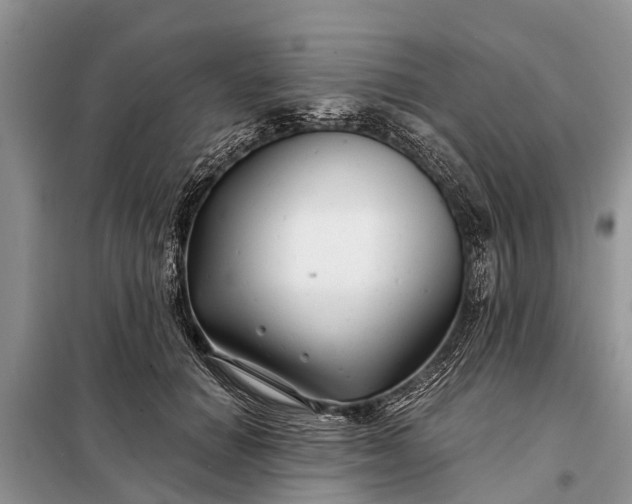 X0000097970654200804071100