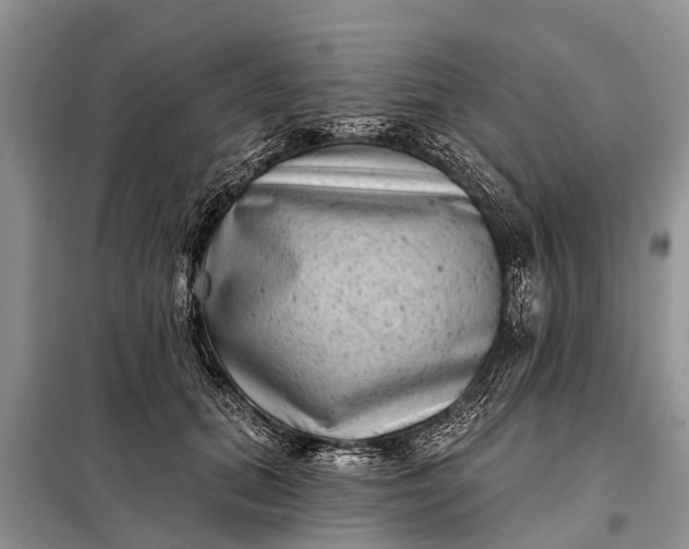 X0000097970655200804071100