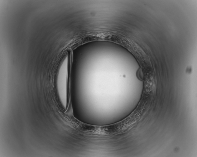 X0000097970656200804071100