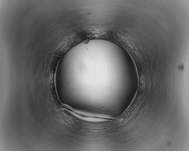 X0000097970657200804071100