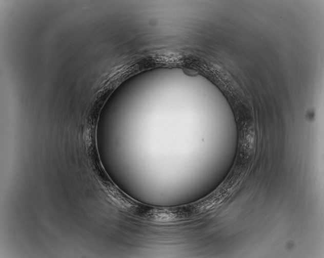 X0000097970658200804071100