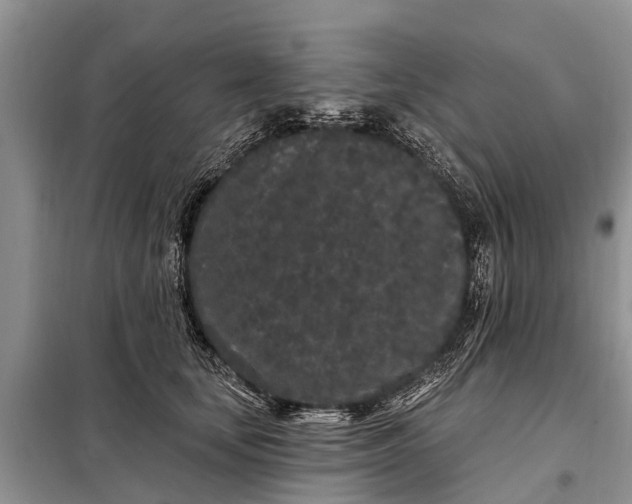 X0000097970659200804071100