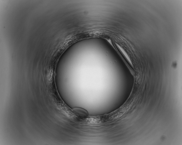 X0000097970660200804071100