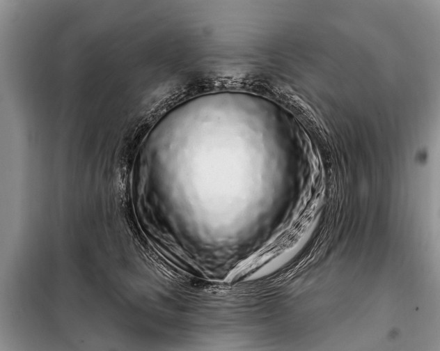 X0000097970661200804071100