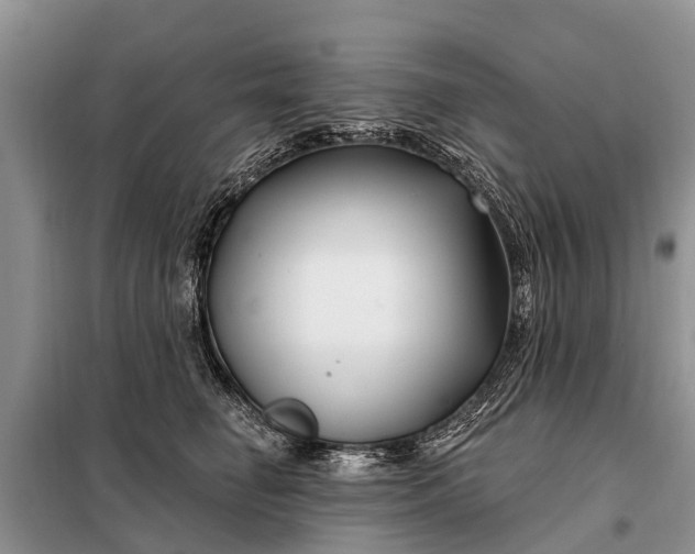 X0000097970662200804071100