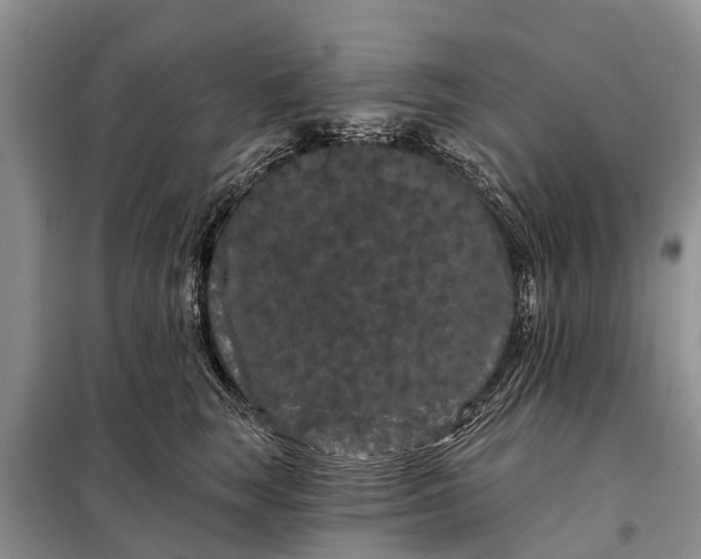 X0000097970663200804071100