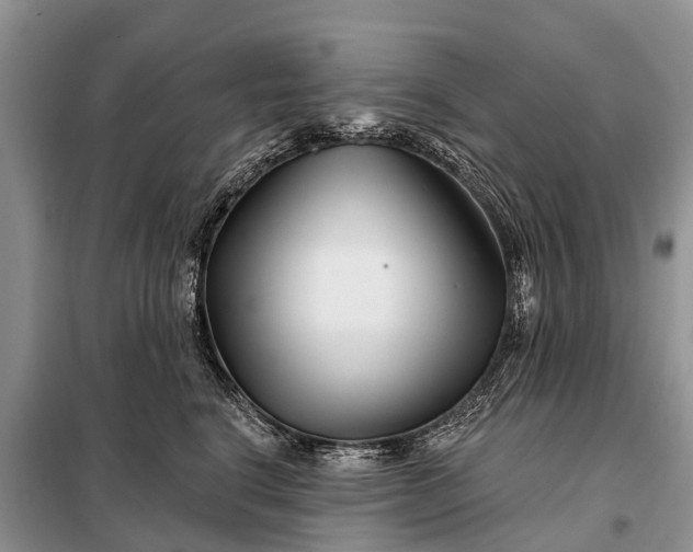 X0000097970664200804071100