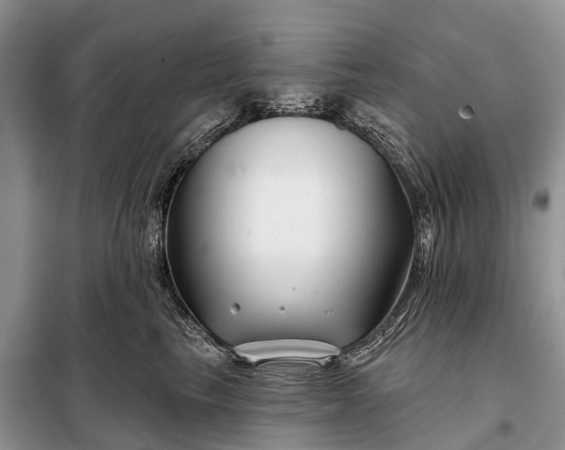 X0000097970665200804071100