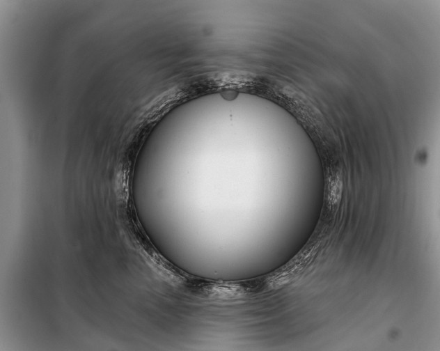 X0000097970666200804071100